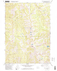 Rock Lake Peak Wyoming Historical topographic map, 1:24000 scale, 7.5 X 7.5 Minute, Year 1980