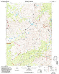 Shell Lake Wyoming Historical topographic map, 1:24000 scale, 7.5 X 7.5 Minute, Year 1993