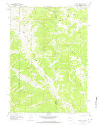 Sheridan Pass Wyoming Historical topographic map, 1:24000 scale, 7.5 X 7.5 Minute, Year 1965