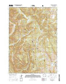 Tripod Peak Wyoming Current topographic map, 1:24000 scale, 7.5 X 7.5 Minute, Year 2015