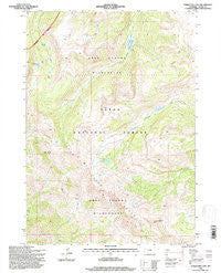 Turquoise Lake Wyoming Historical topographic map, 1:24000 scale, 7.5 X 7.5 Minute, Year 1996