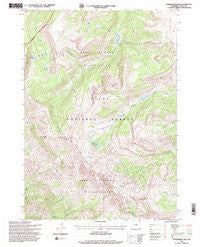 Turquoise Lake Wyoming Historical topographic map, 1:24000 scale, 7.5 X 7.5 Minute, Year 1996