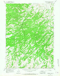 Warbonnet Peak Wyoming Historical topographic map, 1:24000 scale, 7.5 X 7.5 Minute, Year 1964