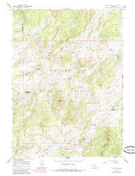 Windy Peak Wyoming Historical topographic map, 1:24000 scale, 7.5 X 7.5 Minute, Year 1964