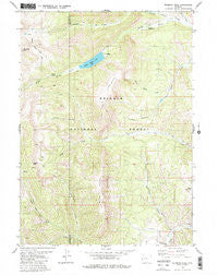 Wyoming Peak Wyoming Historical topographic map, 1:24000 scale, 7.5 X 7.5 Minute, Year 1980