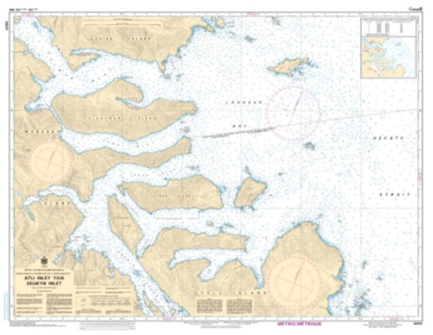 Buy map Atli Inlet to/a Selwyn Inlet by Canadian Hydrographic Service