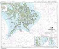 Buy map Mississippi River Delta; Southwest Pass; South Pass; Head of Passes (11361-77) by NOAA