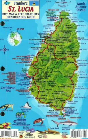 Buy map St. Lucia Reef Creatures Fish Card by Frankos Maps Ltd.