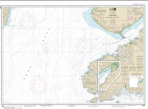 Buy map Cook Inlet-Cape Elizabeth to Anchor Point (16647-4) by NOAA