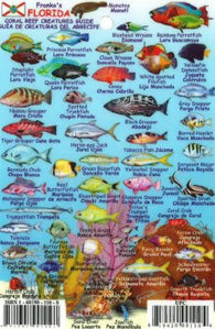 Buy map Florida Keys Mini Fish ID Card by Frankos Maps Ltd.