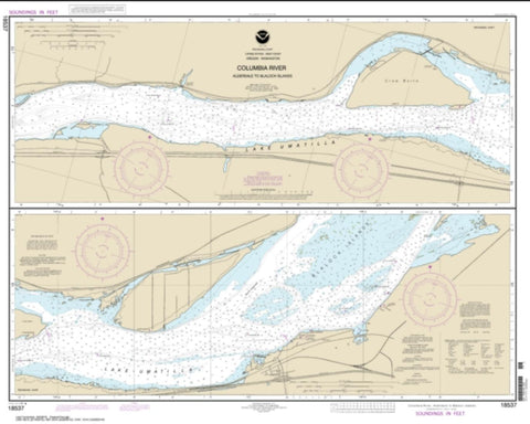 Buy map Columbia River Alderdale to Blalock Islands (18537-11) by NOAA