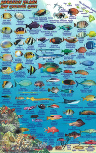 Buy map Hawaiian Islands, Reef Creatures Fish ID Card, 2012