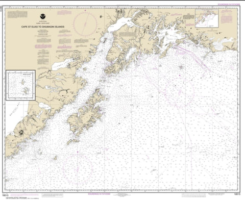Buy map Cape St. Elias to Shumagin Islands; Semidi Islands (16013-30) by NOAA