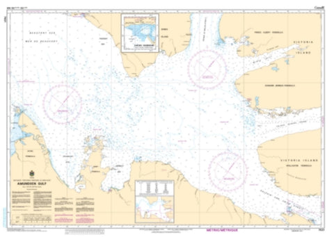 Buy map Amundsen Gulf by Canadian Hydrographic Service