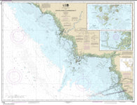 Buy map Crystal River to Horseshoe Point; Suwannee River; Cedar Keys (11408-29) by NOAA