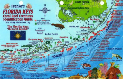 Buy map Florida Keys Fish ID Card by Frankos Maps Ltd.