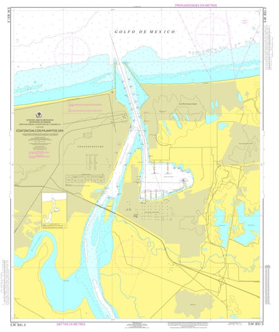 Buy map Coatzacoalcos - Pajaritos by Secretaria de Marina
