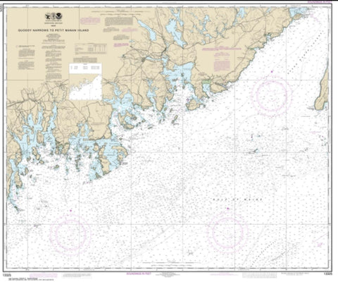 Buy map Quoddy Narrows to Petit Manan lsland (13325-16) by NOAA