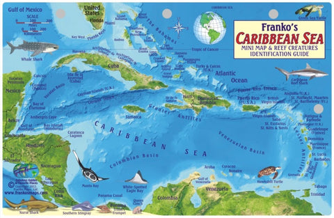 Buy map Caribbean Fish Card, Caribbean Sea 2011 by Frankos Maps Ltd.