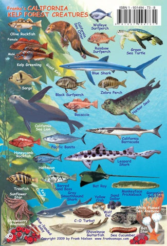 Buy map California, Kelp Forest Creatures Fish ID Card by Frankos Maps Ltd.