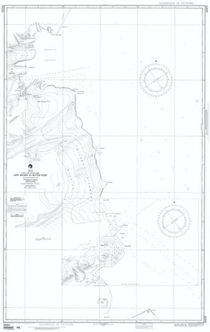 Buy map Cape Archer To Butter Point (NGA-29325-1) by National Geospatial-Intelligence Agency