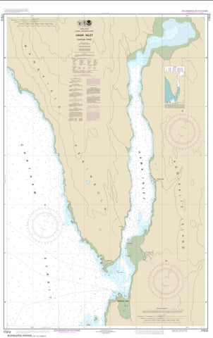 Buy map Hawk Inlet, Chatham Strait (17312-3) by NOAA