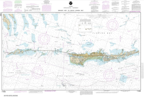 Buy map Florida Keys Grassy Key to Bahia Honda Key (11453-17) by NOAA