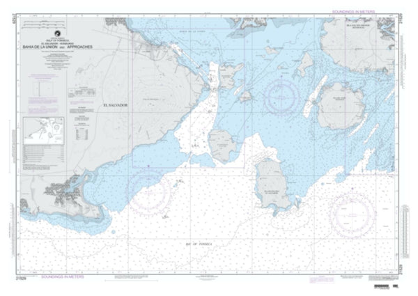 Buy map Bahia De La Union And Approaches (NGA-21529-2) by National Geospatial-Intelligence Agency