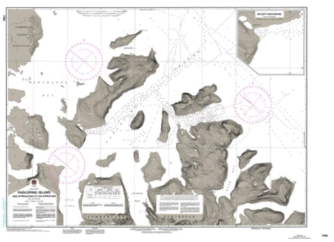 Buy map Padloping Island and Approaches/et les Approches by Canadian Hydrographic Service