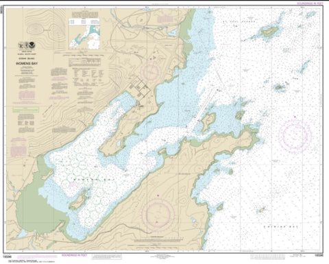 Buy map Womens Bay (16596-13) by NOAA