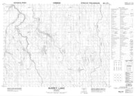 042I03 Audrey Lake Canadian topographic map, 1:50,000 scale