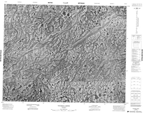 042O08 Salomaa Creek Canadian topographic map, 1:50,000 scale