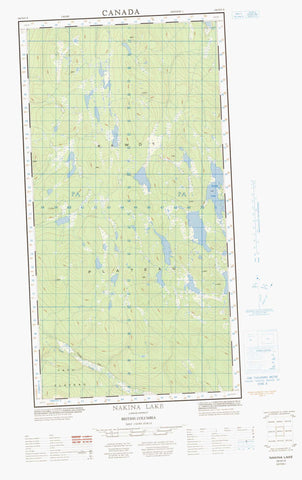 104N01E Nakina Lake Canadian topographic map, 1:50,000 scale