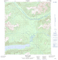 105M15 Mayo Lake Canadian topographic map, 1:50,000 scale