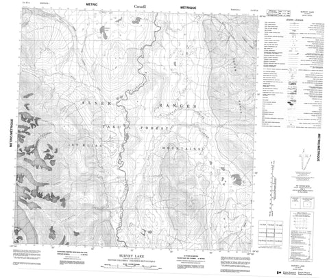 114P14 Survey Lake Canadian topographic map, 1:50,000 scale