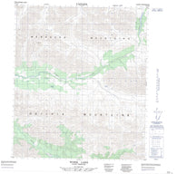 116A08 Worm Lake Canadian topographic map, 1:50,000 scale