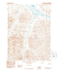 Ambler River C-1 Alaska Historical topographic map, 1:63360 scale, 15 X 15 Minute, Year 1990
