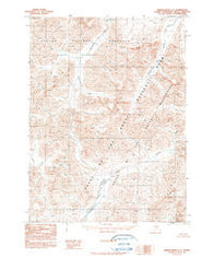 Ambler River C-2 Alaska Historical topographic map, 1:63360 scale, 15 X 15 Minute, Year 1990