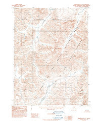 Ambler River C-2 Alaska Historical topographic map, 1:63360 scale, 15 X 15 Minute, Year 1990