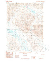 Ambler River D-1 Alaska Historical topographic map, 1:63360 scale, 15 X 15 Minute, Year 1990
