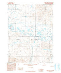 Ambler River D-2 Alaska Historical topographic map, 1:63360 scale, 15 X 15 Minute, Year 1990