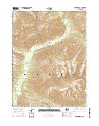 Ambler River B-1 SE Alaska Current topographic map, 1:25000 scale, 7.5 X 7.5 Minute, Year 2016