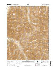 Ambler River C-1 SE Alaska Current topographic map, 1:25000 scale, 7.5 X 7.5 Minute, Year 2016