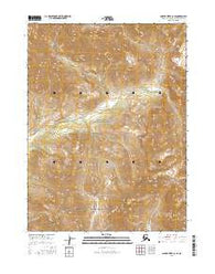 Ambler River C-2 SE Alaska Current topographic map, 1:25000 scale, 7.5 X 7.5 Minute, Year 2016