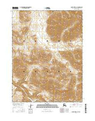 Ambler River C-3 SE Alaska Current topographic map, 1:25000 scale, 7.5 X 7.5 Minute, Year 2016