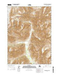 Ambler River C-6 SW Alaska Current topographic map, 1:25000 scale, 7.5 X 7.5 Minute, Year 2015