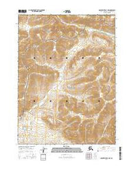 Ambler River D-1 NW Alaska Current topographic map, 1:25000 scale, 7.5 X 7.5 Minute, Year 2016