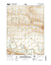 Ambler River D-2 NW Alaska Current topographic map, 1:25000 scale, 7.5 X 7.5 Minute, Year 2016