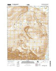 Ambler River D-2 SW Alaska Current topographic map, 1:25000 scale, 7.5 X 7.5 Minute, Year 2016