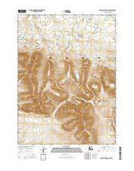 Ambler River D-3 SW Alaska Current topographic map, 1:25000 scale, 7.5 X 7.5 Minute, Year 2016